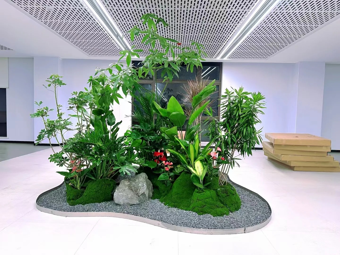 余姚盆景租摆，价格亲民，品质却不打折！