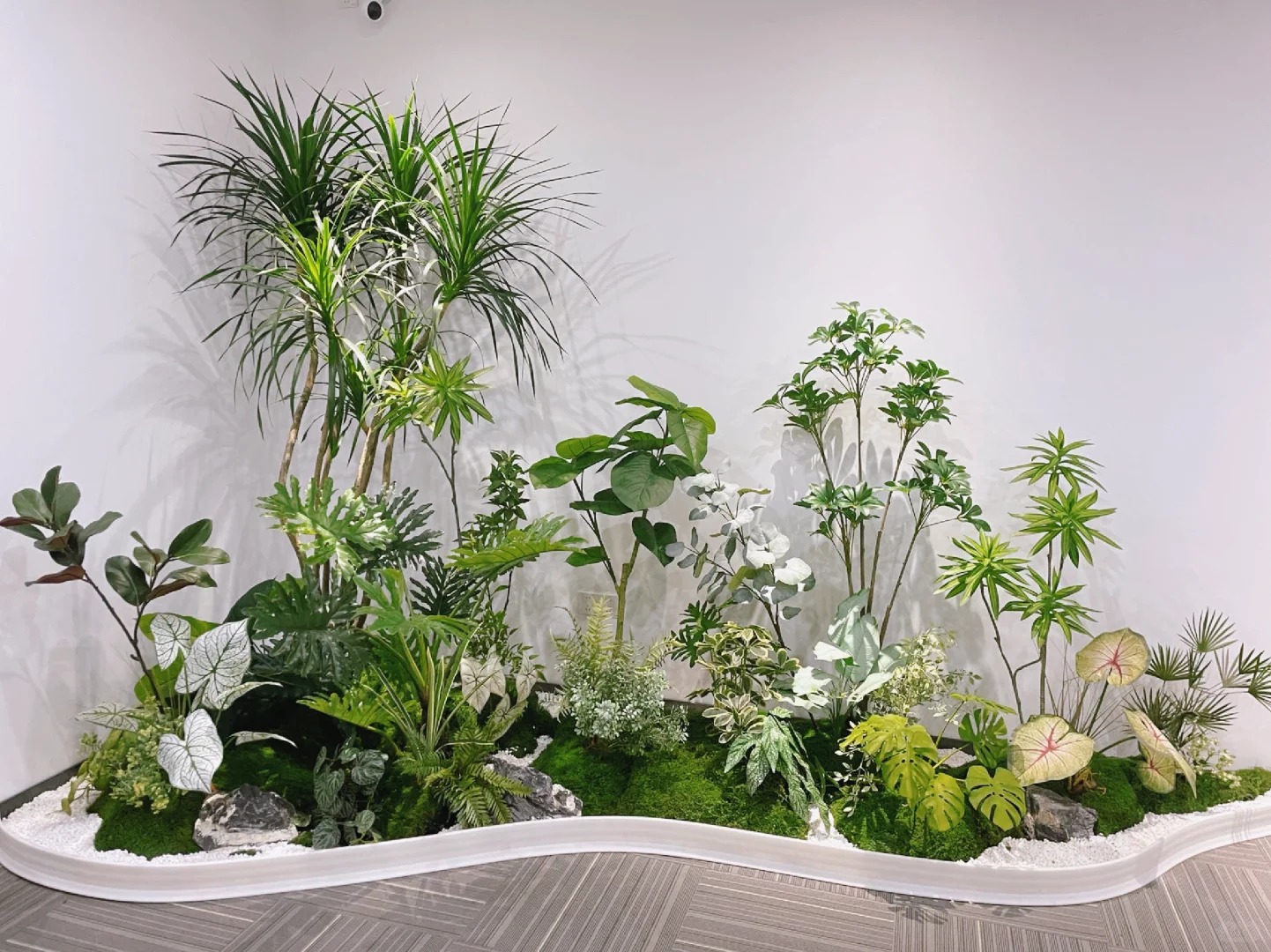 余姚盆景租摆，价格亲民，品质却不打折！